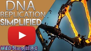 DNA Replication Made Easy [upl. by Neelram]