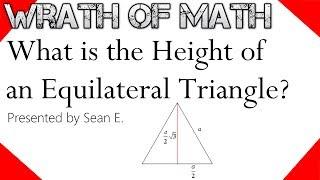 What is the Height of an Equilateral Triangle [upl. by Aicillyhp]