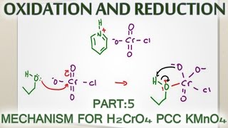 Alcohol Oxidation Mechanism with H2CrO4 PCC and KMnO4 [upl. by Nelg398]