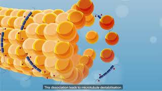 What is progressive supranuclear palsy PSP [upl. by Spada402]