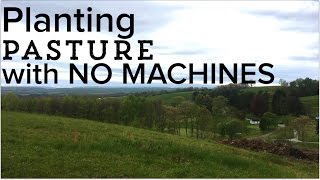 How to Seed a Pasture  Planting a Pasture from Scratch with NO MACHINES [upl. by Auod479]