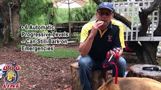 Bark Collar Review  Barking Dog Training Collar Unboxing [upl. by Rufina233]