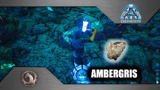 Ark Survival Evolved  Ambergris [upl. by Thorin534]