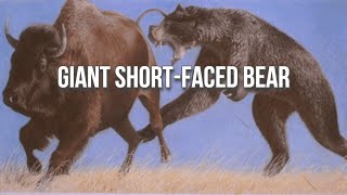 Arctodus The “ShortFaced Bear” is Misunderstood [upl. by Norabel13]