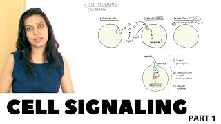 Cell Signaling Overview  Part 1 [upl. by Blanca713]