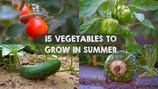 15 Vegetables amp Herbs You MUST Grow in SUMMER [upl. by Ardnohsed]