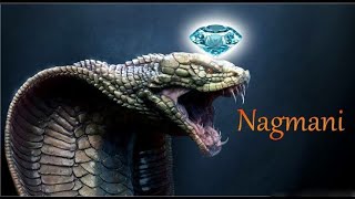 Nagamani Reality or Myth   क्या सच में नागमणि होती है   Nagmani Explained in Hindi [upl. by Delisle]