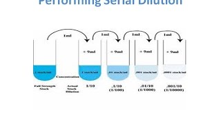 Serial Dilution Methods amp Calaculations [upl. by Aikram394]