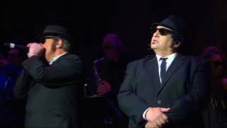 Gimme Some Lovin  Official Blues Brothers™Revue [upl. by Antoine]