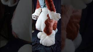 Spaniel Fursuit Legs 🐶 [upl. by Eidas]