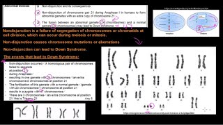 Grade 12 Life Sciences Meiosis Part 3 [upl. by Favin245]