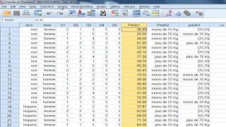 SPSS tutoriel Statistiques descriptives [upl. by Redla]