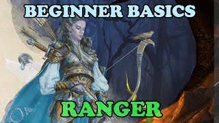 DDO Beginner Basics The Ranger [upl. by Nosirb305]