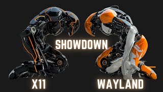 Showdown 2024 X11 vs Wayland [upl. by Jump494]