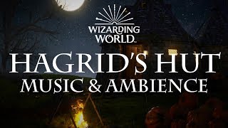 Harry Potter Music amp Ambience  Hagrids Hut [upl. by Airdna949]