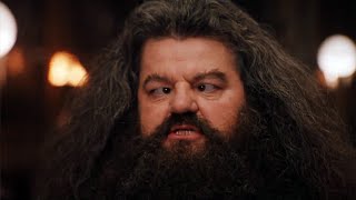 MAD HAGRID 2 [upl. by Einberger]