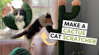 Build Your Own DIY Cat Scratcher From PVC  DIY Cat Furniture [upl. by Anelad]