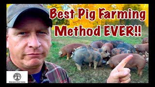 Pig Farming  Pastured Pork VS CAFO [upl. by Sremmus]