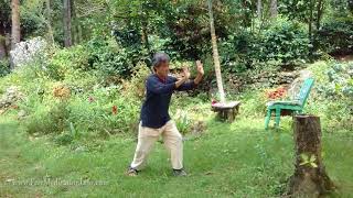 Shibashi  The 18 movements with instruction Tai ChiQigong [upl. by Frida]