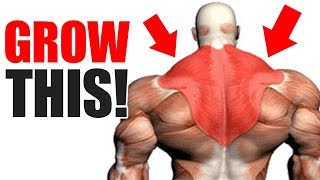 3 Best Exercises for BIG TRAPS [upl. by Harras]