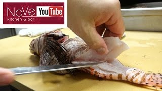 VENOMOUS Lionfish Sashimi  How To Make Sushi Series [upl. by Viviyan]