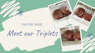 Meet Our Triplets  Name and Gender Reveal [upl. by Elset]