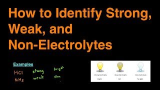 How to Identify Strong Weak and NonElectrolytes Examples amp Practice Problems [upl. by Polinski]