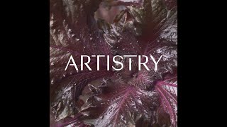 Meet the Artistry™ Brand  Skin Nutrition  Amway [upl. by Eveineg]