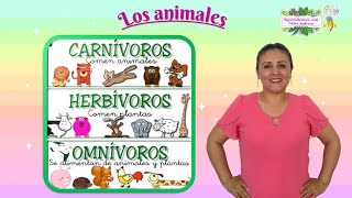 Los animales carnívoros herbívoros y omnívoros para niños [upl. by Aken]