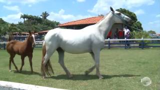 Conheça uma das fazendas mais modernas do Nordeste [upl. by Rianon]