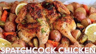 Roasted Spatchcock CHICKEN Recipe  ONE PAN Chicken Dinner [upl. by Enovi]