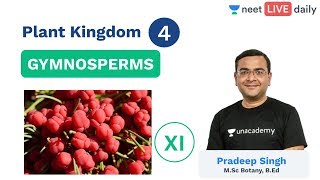 NEET Plant Kingdom  Lecture 4  Gymnosperms  Class 11  Unacademy NEET  Pradeep Sir [upl. by Soph]