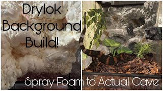 How to Build a Drylok Background for a Reptile Enclosure [upl. by Bello392]