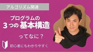 プログラムの基本構造とは？｜プログラムの基本構造とは何か、順次実行、条件分岐、繰り返しなどについて3分でわかりやすく解説 [upl. by Ianteen]