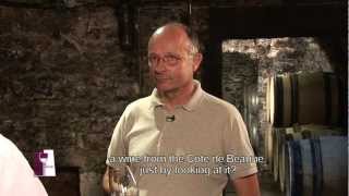 Understanding Burgundy Chablis Grand Crus with Bernard Raveneau [upl. by Leehar]