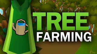 Complete Tree Farming Guide for OSRS [upl. by Veta]