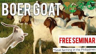 Seminar for Goat Farming  Goat Farming in Philippines  Boer goat farming Philippines Happy Farmer [upl. by Norred]