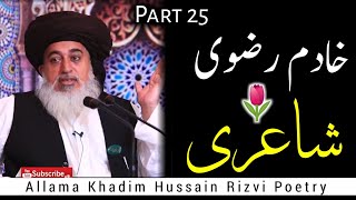 Allama Khadim Hussain Rizvi Poetry Part 25  Best Poetry Collection Of Rizvi Sahib [upl. by Hedaza587]