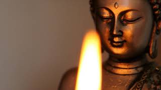 Buddhas Flute Music  Healing Sounds [upl. by Allin60]