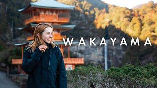 Wakayamas Hidden Gems and How To See Them [upl. by Sissie]