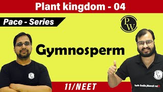 Plant Kingdom 04 Gymnosperm  Class 11  NEET  PACE SERIES [upl. by Ardine]