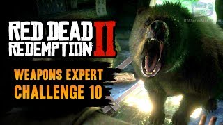 Red Dead Redemption 2 Weapons Expert Challenge 10 Guide  Kill a grizzly bear using throwing knives [upl. by Betz]