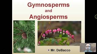 Gymnosperms and Angiosperms [upl. by Bega447]