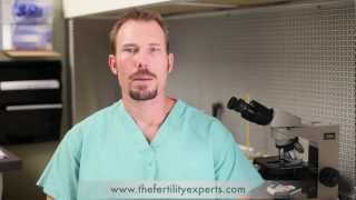 Semen Analysis for Male Infertility [upl. by Harold]