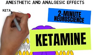 2Minute Neuroscience Ketamine [upl. by Sinnod]