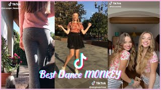 THE BEST TIKTOK CHALLENGE DANCE MONKEY [upl. by Nilauqcaj620]