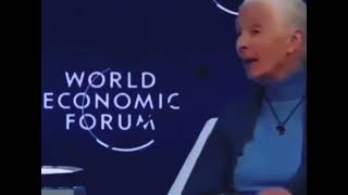 Jane Goodall Preaches About Eugenics [upl. by Launame]