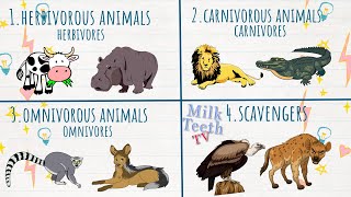 Types of Animals  Herbivores Carnivores Omnivores and Scavengers  Eating habits of Animals [upl. by Anhoj]