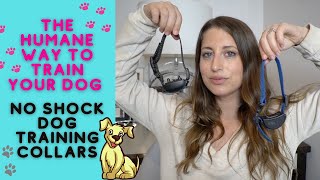 THE HUMANE WAY TO TRAIN YOUR DOG USING A NO SHOCK COLLAR  DOES IT WORK  JACKELYN SHULTZ [upl. by Lyj]