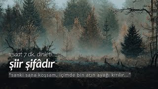 şiir şifâdır  en sevilenler 1 saat dinleti [upl. by Thurnau188]